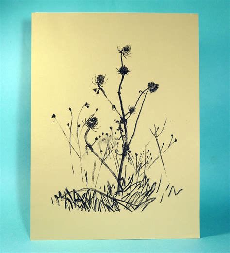 Digital Teasel Print .